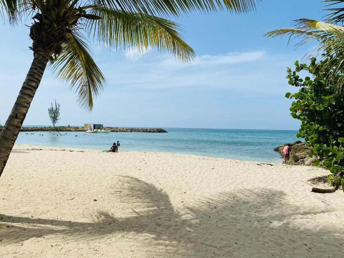 Vanille, A Proximite Des Plages, Idealement Situe Pour Visiter La Guadeloupe Ле-Гозье Экстерьер фото